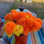 Heather Spaulding \ Staff photo
A bouquet of Marigolds at the refreshment table.