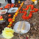 Heather Spaulding \ Staff photo
Marigolds with corn left as an offering.