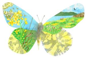 Contributed photo by On Sacred Ground
Island Marble Butterfly artwork by Jill Bliss.