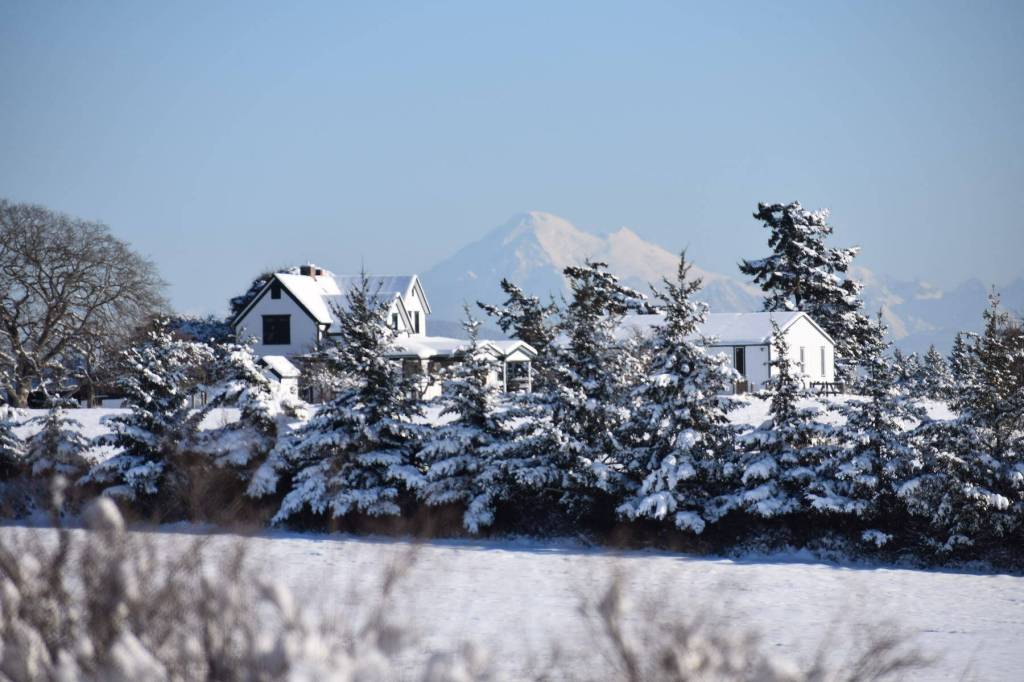 Kelley Balcomb-Bartok \ Staff photo
Clear skies brought out Mount Baker.