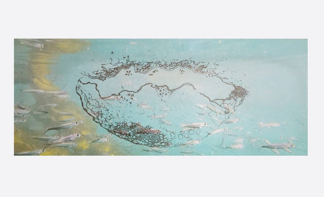 Contributed photo by the San Juan Islands Museum of Art
Mirror World #5 by Ranna McNeil, photography and video.