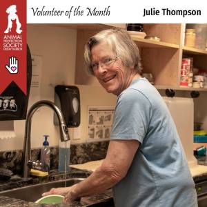 Contributed photo by the Animal Protection Society - Friday Harbor
Julie doing dishes at the sink, with a smile on her face!