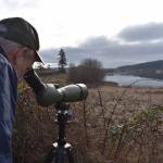 Kelley Balcomb-Bartok/Staff photo
U.S. Congressman Rick Larsen looks out over Zylstra Lake and several Trumpeter Swans during a recent visit to San Juan Island.