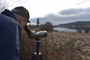 Kelley Balcomb-Bartok/Staff photo
U.S. Congressman Rick Larsen looks out over Zylstra Lake and several Trumpeter Swans during a recent visit to San Juan Island.