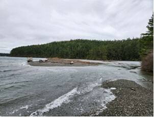 Contributed photo by Friends of the San Juans
Jakles Lagoon on San Juan Island, where the king tides have breached all three lagoons. These lagoons typically have a full bar of sand separating them from the ocean, with a little stream of water going from the lagoon into the ocean.