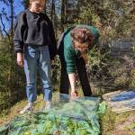 Contributed photo by Alchemy Art Center
Guest instructor Katey Rissi and student prepare cyanotype