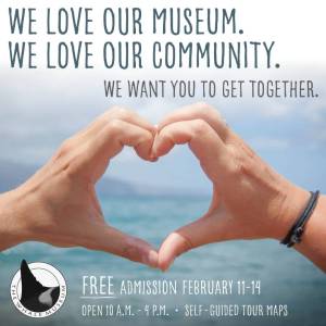 Contributed photo by The Whale Museum.