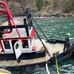 Contributed photo.
The partially submerged Tugboat Tulalip is suspended alongside a response vessel near the Lopez ferry terminal in preparation for removal.
