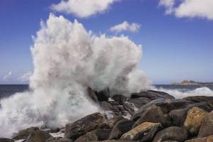 Contributed photo
Steve Ulvi.