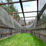 Aiden Haines / Staff photo