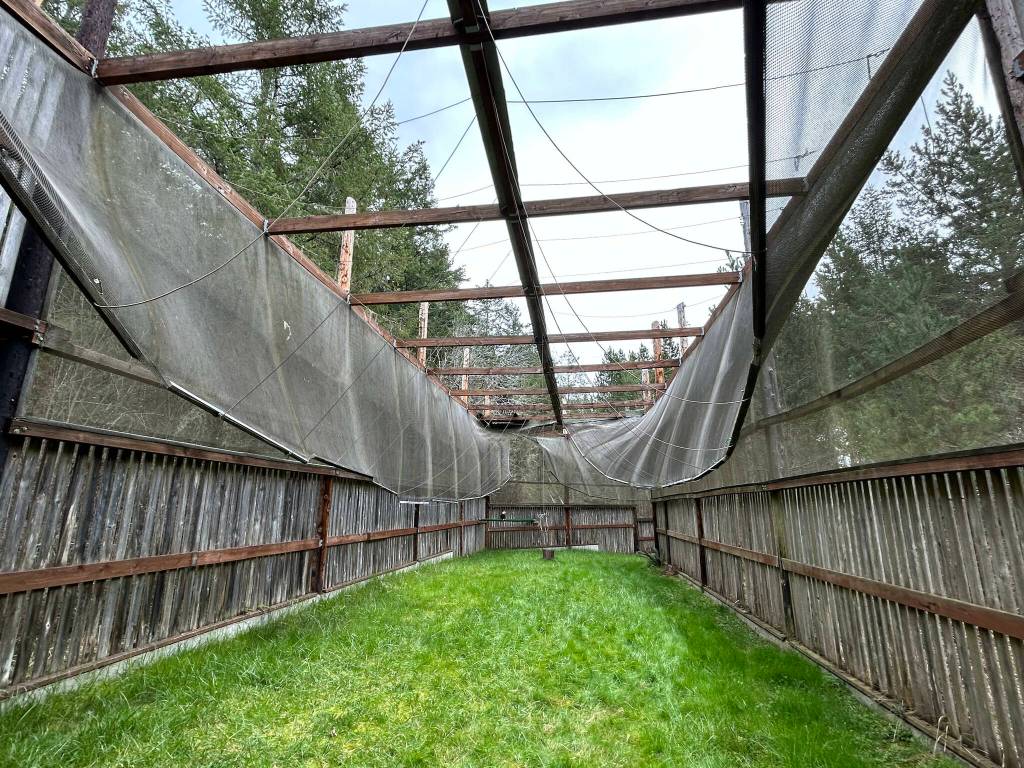 Aiden Haines / Staff photo