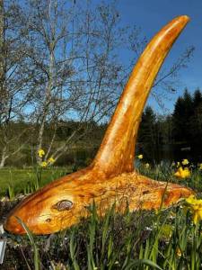 Heather Spaulding \ Staff photo
Orcas at the park
