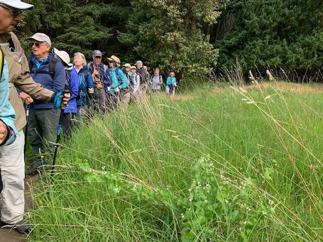 Luca Pignatiello  Staff photo