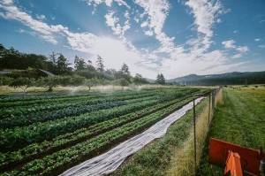 Contributed photo
Joon Farm