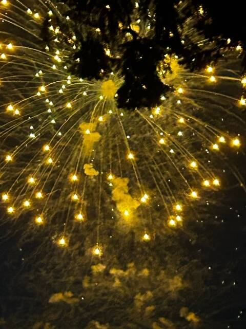 Heather Spaulding \ Staff photo
The display started with a bang.