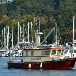 Contributed photo
All summer long the research vessel, Brendan D II, will assist with research and mapping eelgrass across San Juan County. You may see them moving methodically across the water at local shorelines.