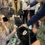 Contributed photo
Jet in action.