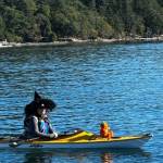 Heather Spaulding \ Staff photo
One witch was accompanied by Jack OLantern
