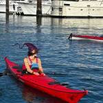 Heather Spaulding \ Staff photo
A witch relaxes having reached the Spring Street dock.