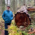 Isabel Ashley/staff photo
Doug McCutchen stands next to the nearly 450-year-old tree in Mt. Grant Preserve.