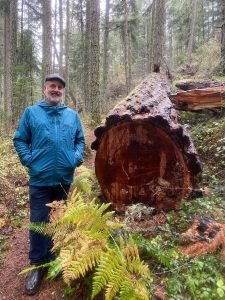 Isabel Ashley/staff photo
Doug McCutchen stands next to the nearly 450-year-old tree in Mt. Grant Preserve.