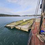 Contributed photo
A crane and barge remove derelict floats from Blind Bay on Shaw Island (below- structure when it had washed ashore onto surf smelt spawning habitat)