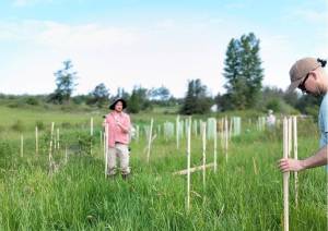 Islands Conservation Corps crew members plant trees to improve stream corridors in San Juan County
Submitted photo