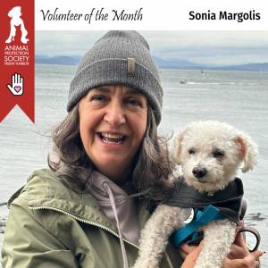 Contributed photo
Sonia with one of the many adorable dogs she has helped foster (Buddy)!