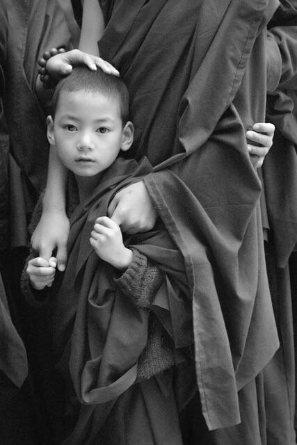 Contributed photo
Nurtured © Jon Kolkin