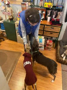 Staff photo/Isabel Ashley
Annie Hutton with two of her honorary staff members behind Friday Harbor Pet Supplys counter. Hutton has raised seven dogs over the business 25-year tenure, shuttling them between home and the pet supply.