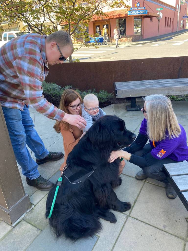 Isabel Ashley \ Staff photo
A family gives attention to Koda, who is training to be a working dog to provide stress relief and comfort to those who have just experienced a disaster such as a fire.
Isabel Ashley \ Staff photo
A family gives attention to Koda, who is training to be a working dog to provide stress relief and comfort to those who have just experienced a disaster such as a fire.