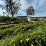 Heather Spaulding \ Staff photo