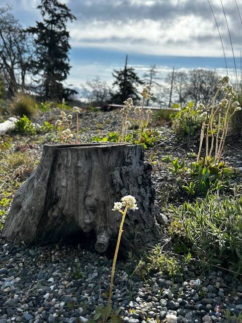 Heather Spaulding \ Staff photo