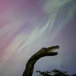 Contributed photo
"Long Neck" by Joe Treat, under the Aurora Borialis