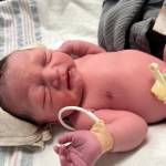 Contributed photo from WSF
Arlo Mack came into the world on the ferry.