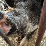 Heather Spaulding \ Staff photo