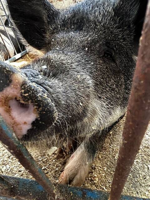 Heather Spaulding \ Staff photo