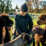 Contributed photo by Robert Harrison
Fall at the Farm