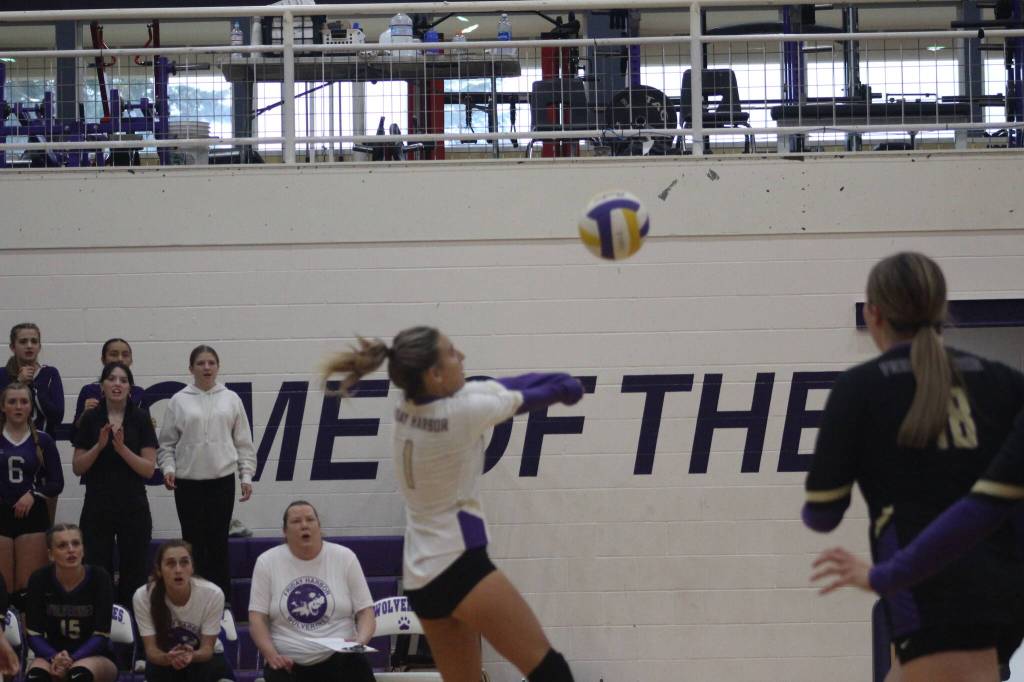 Heather Spaulding \ Staff photo
Wolverines setting the ball up to return to the Lobos.