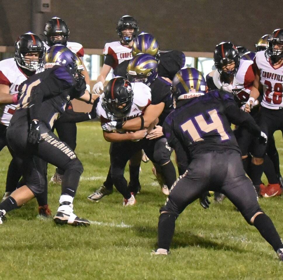 Contributed photo by John Simpson
Wolverines wrap up Wolves runner.