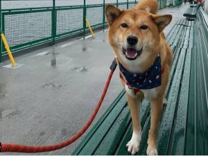 Photo by Markus McGruff.