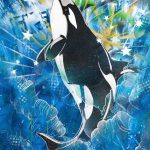 Contributed photo
Tokitae by Kenda Francis