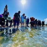 Contributed photo by Phredie Lane