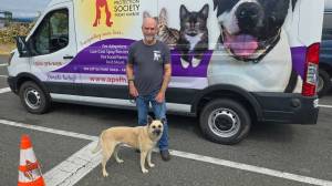 Contributed photo
Volunteers Steve Fund (pictured with dog Blue, a German Shepherd from Downey CA.) and Ray Owens (not pictured)