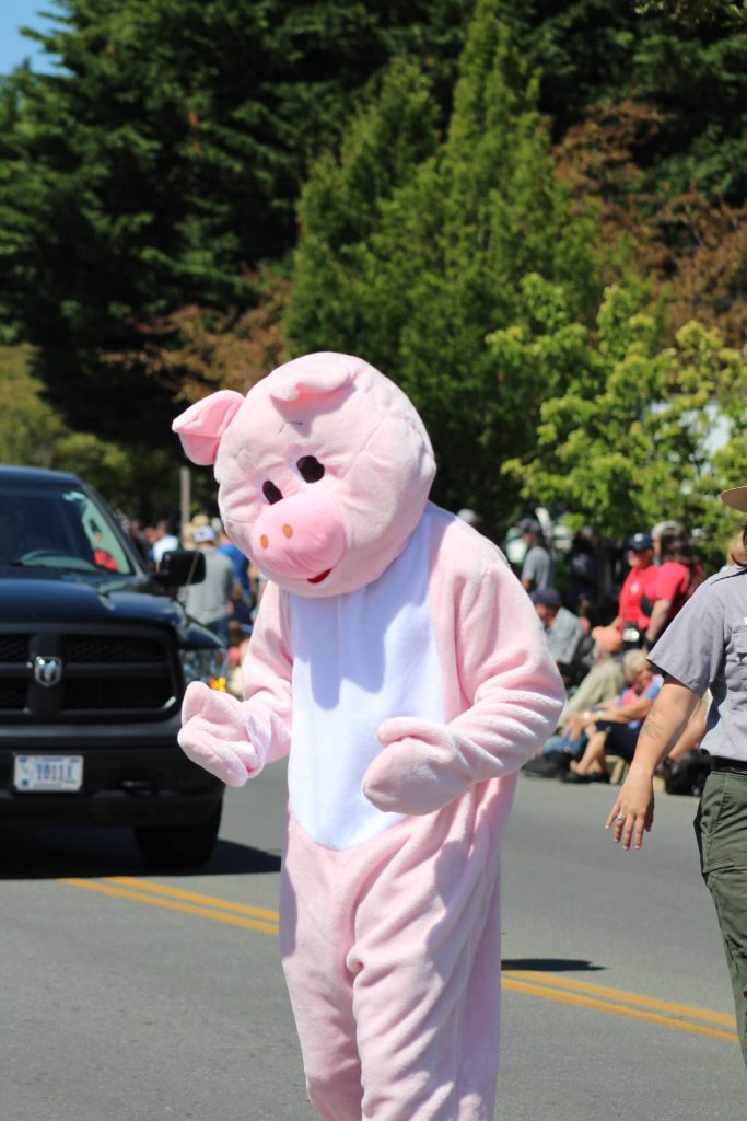 Heather Spaulding \ Staff photo
Kiwanis Pig War Picnic pig