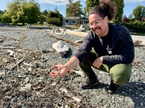 Contributed photo
Volunteers on San Juan Island learn how to identify EGC and conduct molt search surveys for early detection