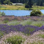 Heather Spaulding  Staff photo