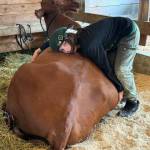 Staff photo\ Heather Spaulding