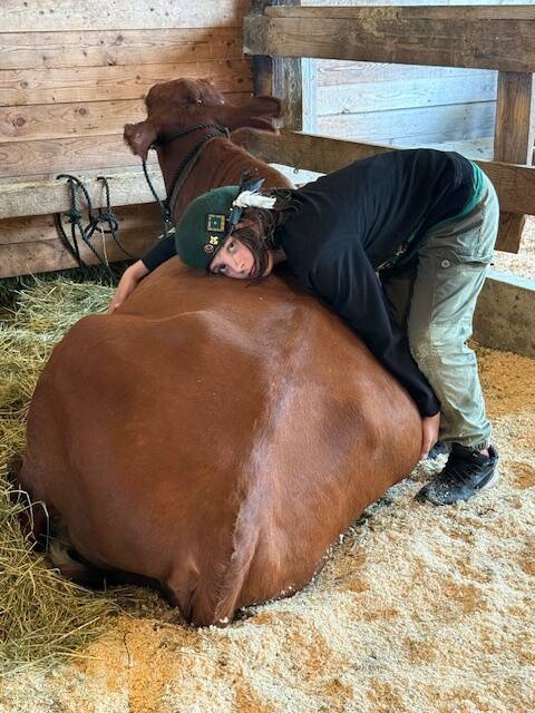 Staff photo\ Heather Spaulding