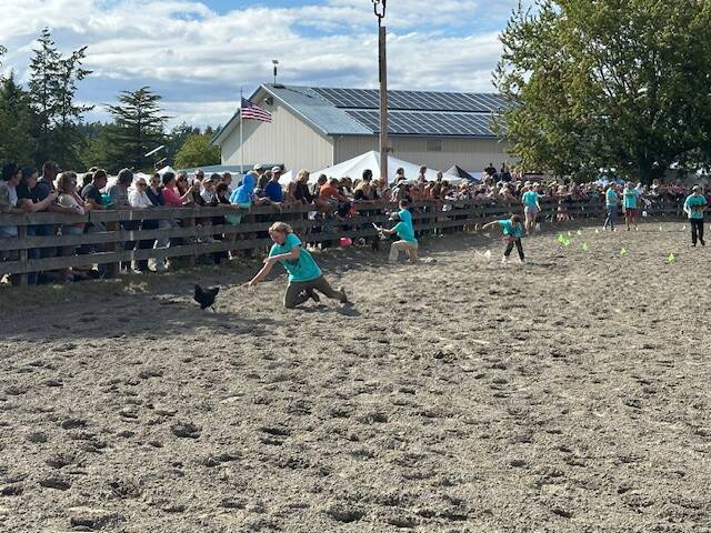 Staff photo Colleen Smith Summers
Orcas Island 4-H member Charlie Wescott lunges to catch his chicken during the Chicken Race.